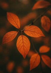 Obraz premium Autumn leaves vibrant mobile wallpaper.