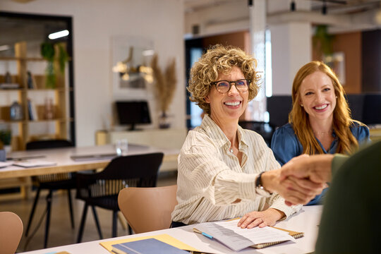 Successful businesswoman shaking hands with businessman at office