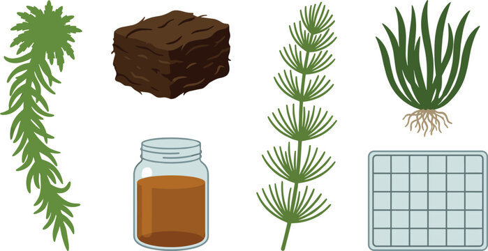 Aquascaping Aquatic Plants and Moss Cultivation Vector Set with Hornwort Sphagnum Moss Peat Block Liquid Fertilizer and Wire Mesh Grid
