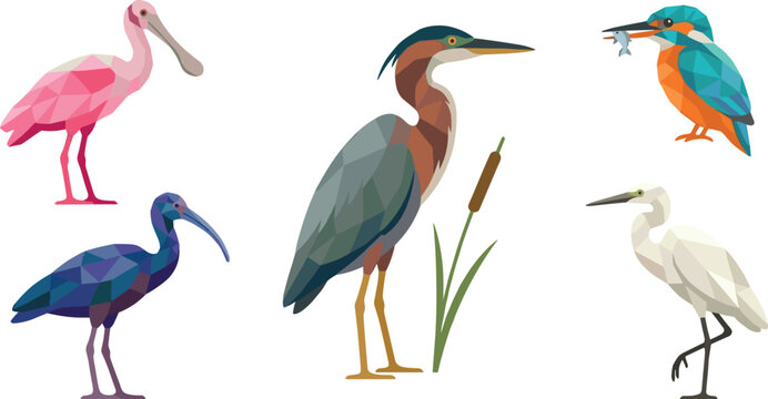 Low Poly Geometric Water Birds Vector Set Featuring Purple Heron Roseate Spoonbill Glossy Ibis Common Kingfisher and White Egret
