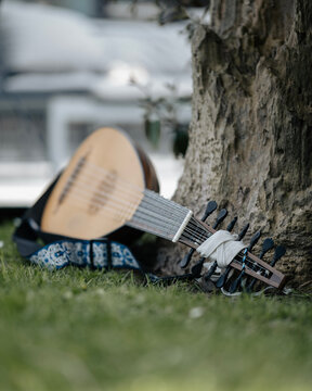 Lute Against Tree