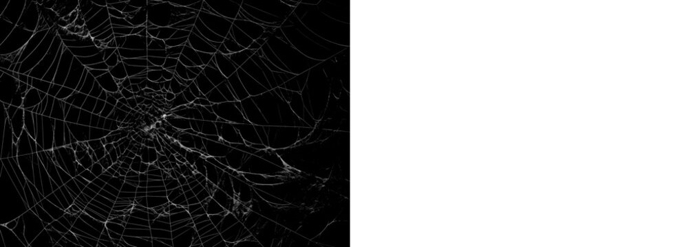 Realistic spider web with black preview and transparent PNG version, ideal for horror visuals, Halloween posters and dark digital editing.