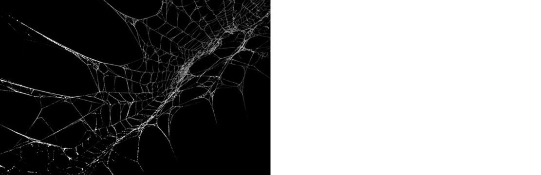 Realistic spider web overlay with black preview and transparent PNG version for Halloween graphics, photo editing and horror compositions.