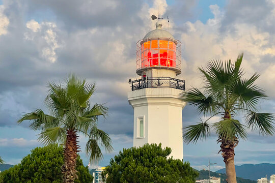 Lighthouse and palm tree on Black sea coast during sunset with  dramatic coud in the sky