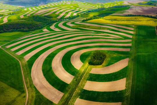 Aerial view of rolling agricultural fields with curved contour farming patterns and a small patch of trees in the rural landscape of Otnice, South Moravian Region, Czechia.