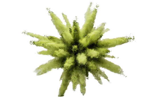 Radial burst of light green powder particles exploding outward in a star shape pattern on a white background, isolated on a, transparent background