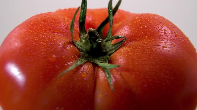 Large Heirloom Beefsteak Tomato Detailed Texture and Stem Slow Rotation