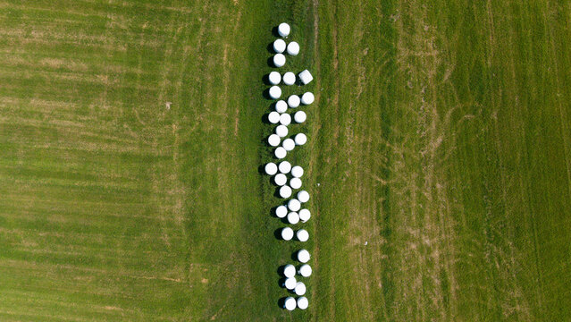 Aerial view of hay bales in white plastic packaging arranged in a line across a green agricultural field in San Giuliano Milanese, Lombardy, Italy.