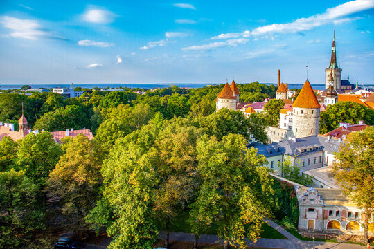 Breathtaking panoramic view of Tallinn Old Town from Patkuli platform. Scenic medieval fortress towers and St Olaf church spire rising over a green summer park and Baltic sea in Estonia.