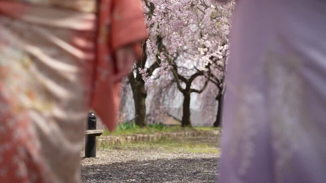 Cherry blossoms and a garden path remain visible between two out-of-focus kimono-clad figures close to the camera.