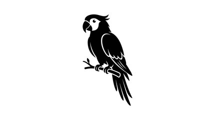 Fototapeta premium Black silhouette of a macaw perched on a branch against a white background