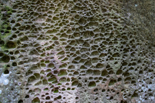 Eroded honeycomb rock surface texture overhead view background