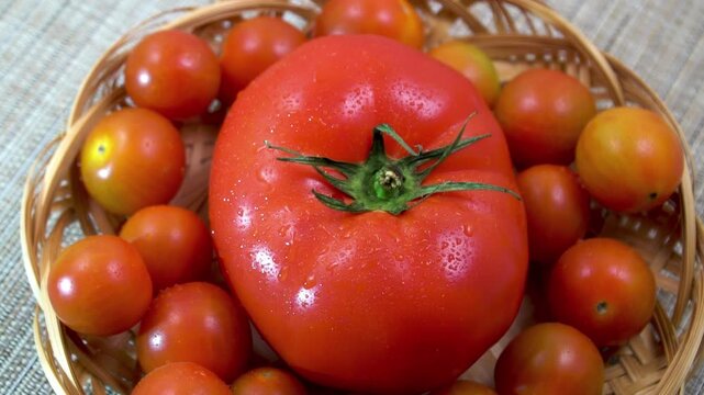 Large beefsteak tomato with colorful cherries in basket, rotating