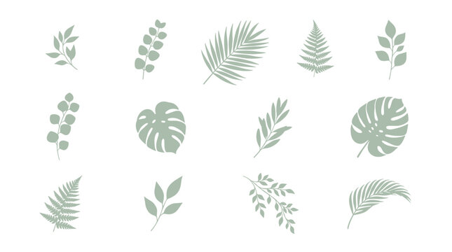 A collection of various light green botanical leaf silhouettes arranged on a plain white background