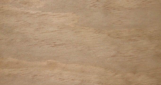 light brown wood grain texture background, smooth timber veneer panel banner