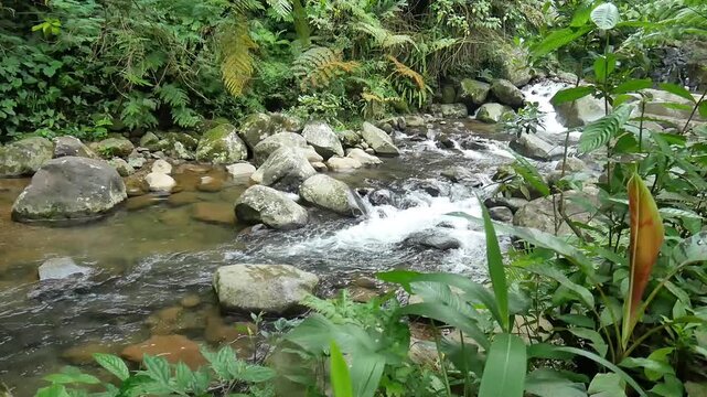 Peaceful Mountain River Water Flowing Over Rocks and Stones