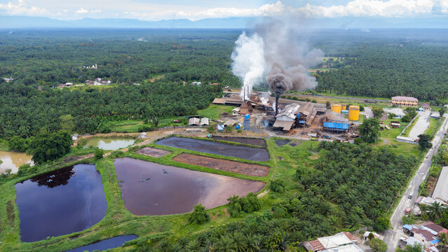 Aerial view of an industrial palm oil mill emitting smoke from chimneys, surrounded by wastewater treatment ponds and vast palm oil plantations in Langkat, North Sumatera, Indonesia.