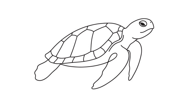 Minimalist sea turtle line art vector, simple black and white turtle outline, aquatic reptile drawing for coloring or logo design