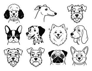 Fototapeta premium Minimalist dog breed line art icons, set of 11 hand drawn canine head illustrations, black and white pet portraits for logo design
