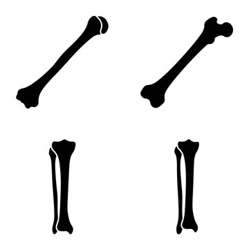Bone and Leg Bone Anatomy Silhouettes Collection