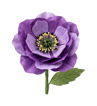 Purple paper anemone flower with leaf cutout on transparent background for floral layout