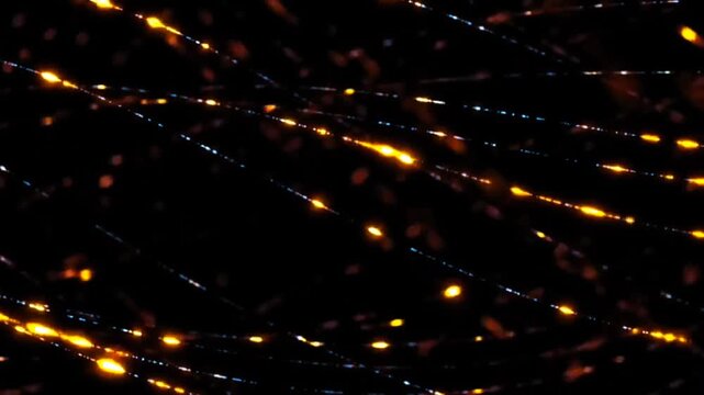 Macro view of glowing orange and blue fiber optic light strands flowing across dark background. Digital data transfer, high-speed internet, and telecommunication network concept.