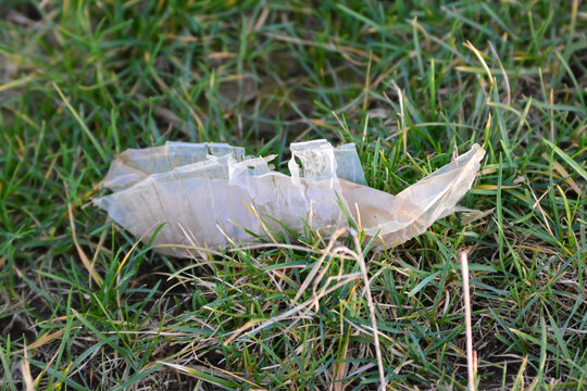 Plastic waste lying on grass representing environmental pollution and the global plastic problem