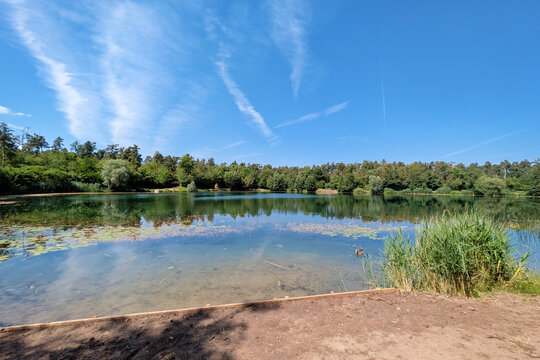 Viernheim, German y- June 20th 2026: Scenic view of Waldsee forest lake in Viernheim, Germany on a sunny day surrounded by nature