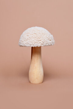 Single wooden and textile decorative mushroom object on beige background