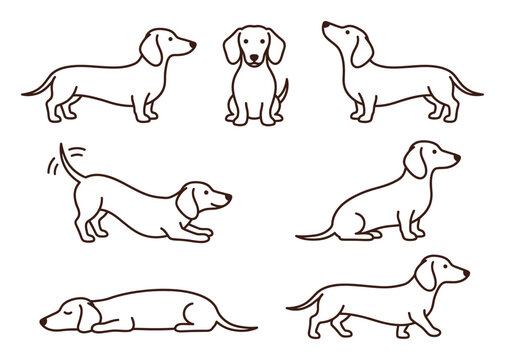 Minimalist dachshund line art collection, 7 sausage dog vector icons in various poses, cute wiener dog outline illustrations for pet branding