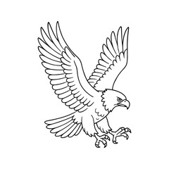 Obraz premium Eagle Descending Line Art