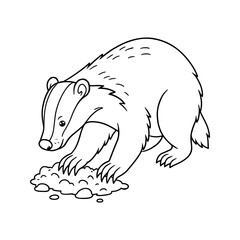 Badger Digging in Dirt © ieps