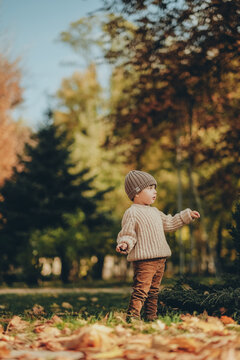Little boy in cozy knit sweater and hat walking outdoors in autumn park
