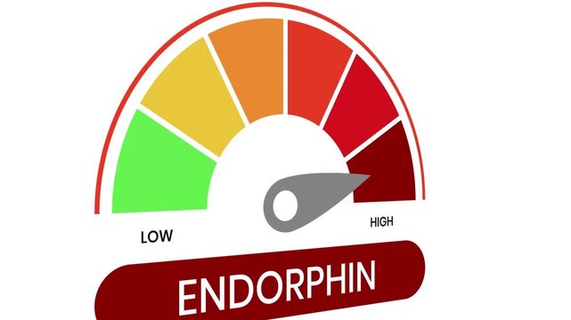Endorphin levels indicator flat animation isolated on white backgorund