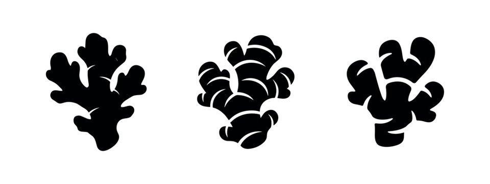 Ginger Root Spice Culinary Icons