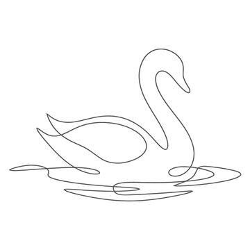 Continuous line drawing of swan bird swimming on water ripples minimalist avian vector illustration