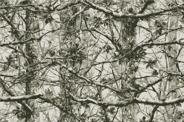 Obraz premium camouflage pattern of tree branches and leaves, camouflage-colored background, mossy camouflage for hunting in the woods.