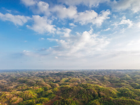 Aerial view of rolling green hills and lush tropical landscape under a bright blue sky with scattered clouds in Gunungkidul Regency, Special Region of Yogyakarta, Indonesia.