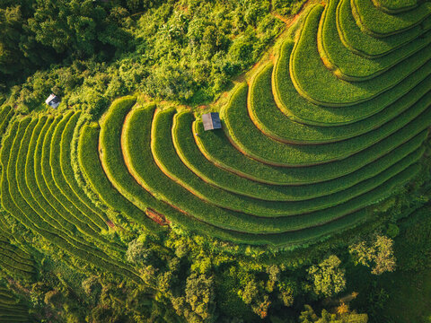 Aerial view of Kim Noi Viewpoint featuring lush green rice terraces carved into the hillsides with small wooden huts nestled among the vibrant crops Mu Cang Chai, Lao Cai, Vietnam.