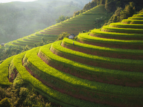 Aerial view of Kim Noi Viewpoint featuring vibrant green rice terraces carved into the hillsides with a small wooden hut and misty mountain backdrop in Mu Cang Chai, Lao Cai, Vietnam.