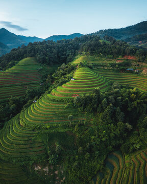 Aerial view of Kim Noi Viewpoint featuring lush green rice terraces carved into hillsides, surrounded by dense forest and mountain ridges in Mu Cang Chai, Lao Cai, Vietnam.