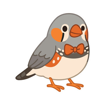 Cute Zebra Finch With Bow Tie