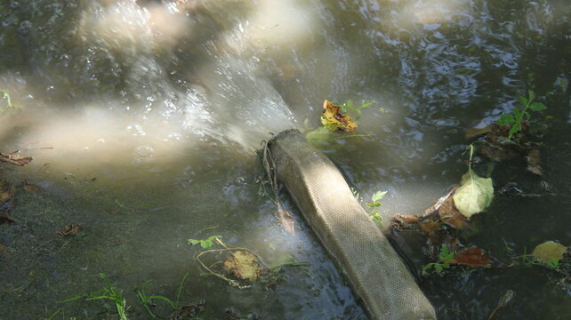 Water hose pumping dirty wastewater from septic tank onto ground
