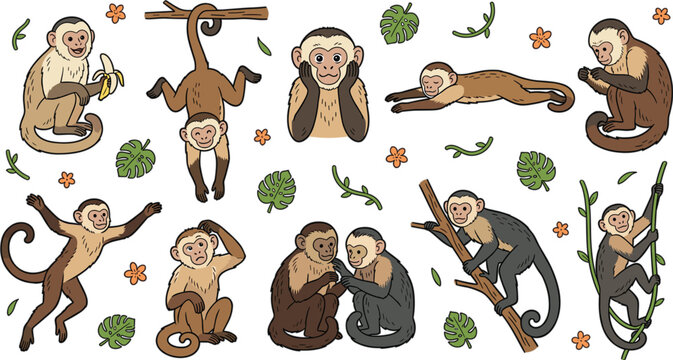 Cute Capuchin Monkey Cartoon Character Vector Set Featuring Playful Primates Climbing Vines Hanging Upside Down Eating Banana for Jungle Graphic Designs