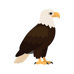 Obraz premium Bald Eagle Illustration