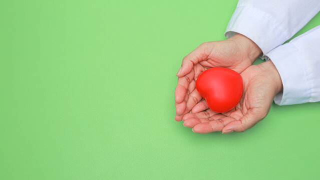 Doctor hand gently holding red heart symbol shows caring medical health support for preventive care on green background