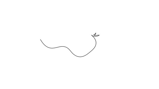 Strawberry continuous line drawing animation, minimalist fruit outline, elegant single line art illustration, isolated white background, smooth motion.