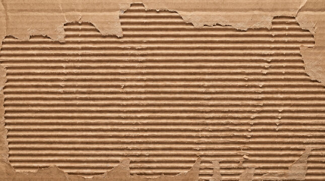cardboard box edge torn texture