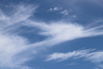 Fototapeta premium Dramatic wispy cirrus clouds stretching across a deep blue summer sky above green trees. Natural cloudscape with flowing cloud formations, peaceful weather, and scenic outdoor atmosphere.