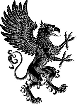 Griffin or gryphon heraldry coat of arms or family crest medieval shield style heraldic animal. In a vintage woodcut style.